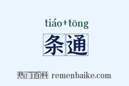 条通是什么意思的图片